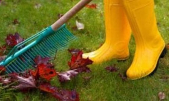 jesenska opravila na vrtu