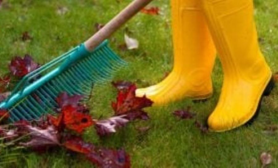 jesenska opravila na vrtu